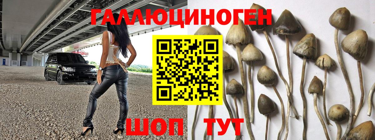 Галлюциногенные грибы мицелий  даркнет сайт  Невинномысск  Вход с VPN 